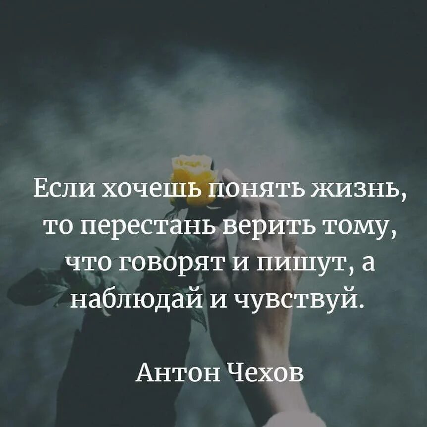 Если хочешь понять жизнь. Если хочешь понять жизнь то перестань. Если хочешь понять жизнь то перестань верить тому. Хочу понять жизнь. Которые приходят люди верящие что