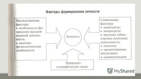 Роль социального фактора в развитии личности
