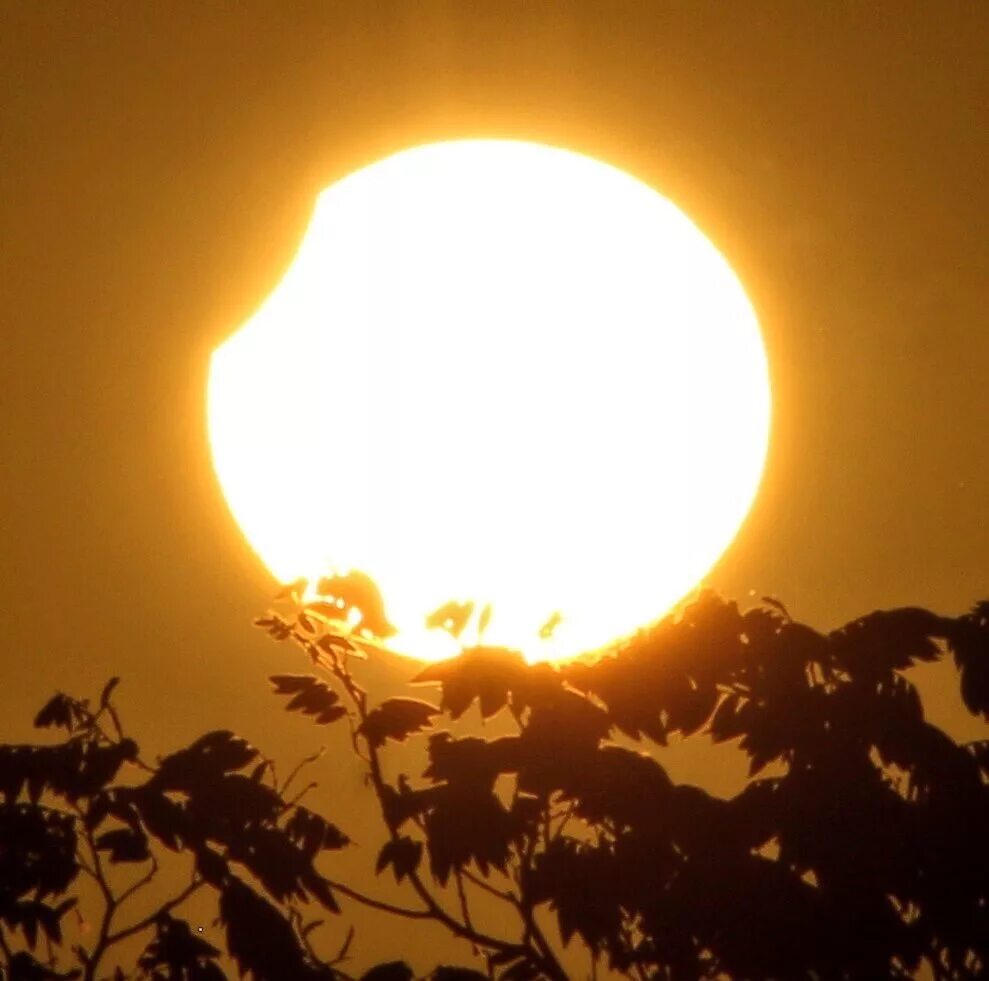 Солнечное затмение. Луна закрывает солнце. Первое солнечное затмение. Фотографии солнечного затмения.