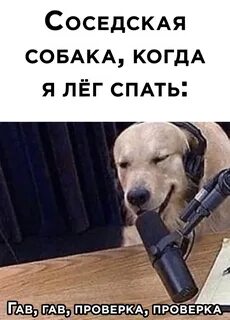 Сосед собака мужик
