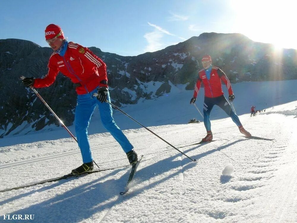 Лыжный спорт выносливость. Тренировка лыжников. Лыжники тренируются. Физическая подготовка лыжника. Лыжные гонки тренировка.