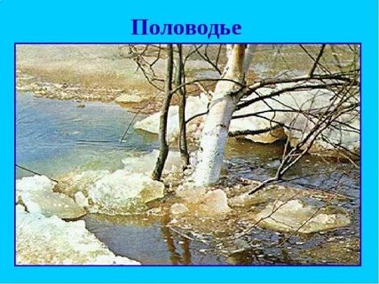 Объясните чем половодье отличается от горной