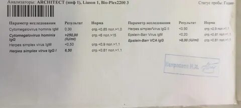 Антитела к цитомегаловирусу большие