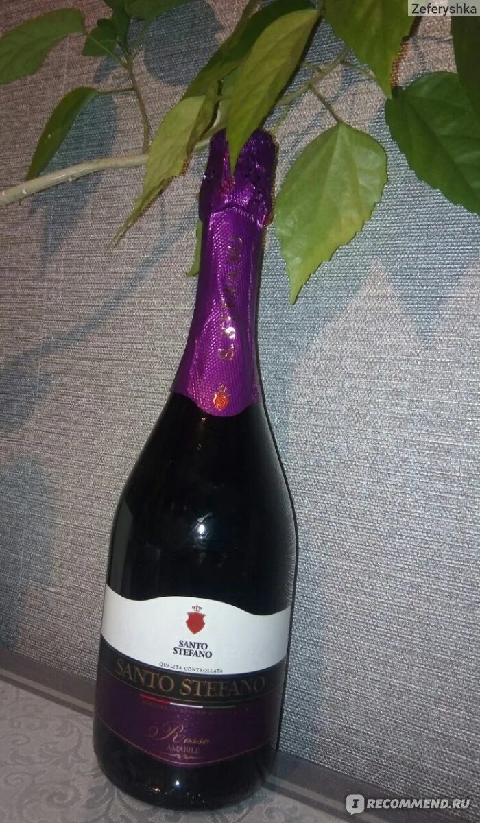 Санто стефано шампанское фиолетовое. Санто Стефано Россо Амабиле. Винный напиток Санто Стефано. Стефано винный винный напиток Санто Стефано.
