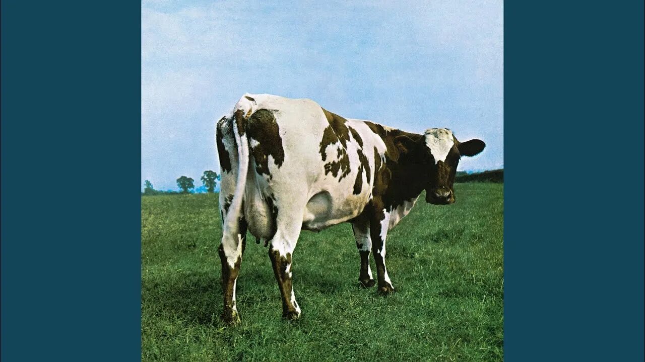 Pink floyd atom heart mother 1970. Пинк флойд корова обложка альбома. Pink floyd atom heart mother обложка. Pink floyd atom. Atom heart mother pink floyd футболка.