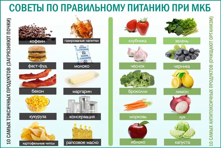 Какие продукты нельзя при камнях в почках. Питание при мочекаменной болезни. памятка питание при мкб. продукты запрещенные при мочекаменной болезни. диета примочексменной болезни.