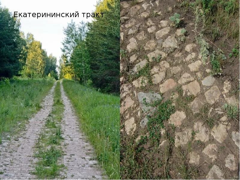 Союз тракт. Екатерининский тракт учалинский район. старый екатерининский тракт. екатерининский тракт в пензенской области. екатерининский тракт в челябинской области.