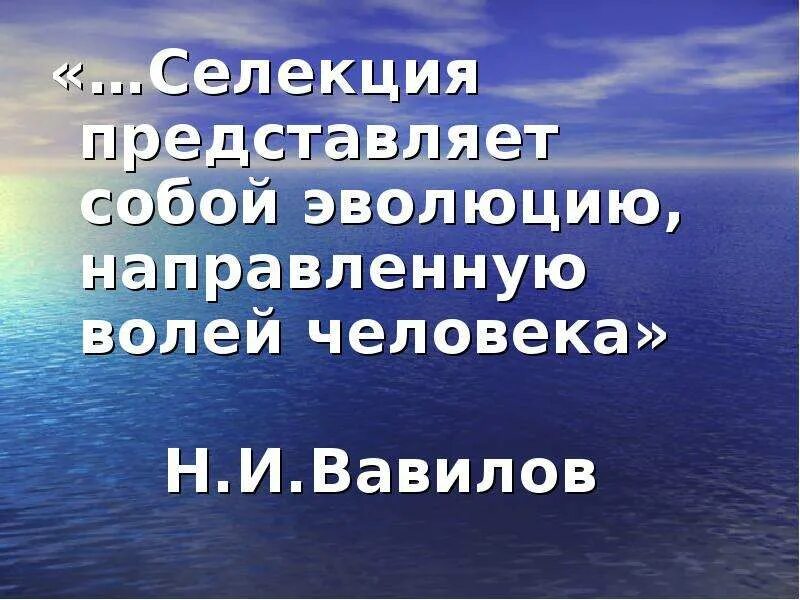 Селекция эволюция направляемая человеком. Селекция представляет собой эволюцию, направляемую волей человека. селекция это эволюция направляемая волей человека. эволюция направляемая волей человека.