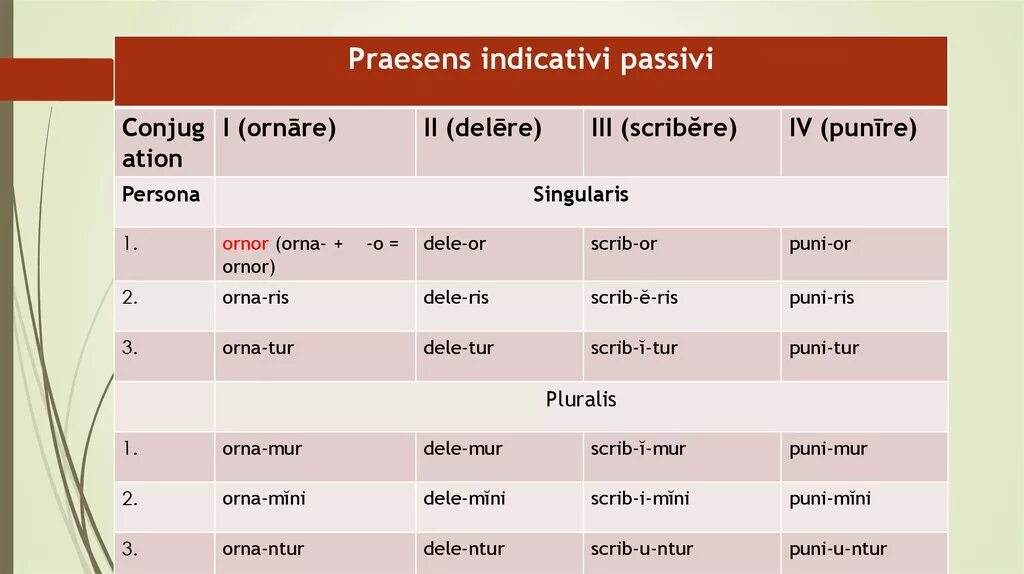 Praesens indicativi activi латынь. Praesens indicativi passivi в латинском. Спряжение praesens indicativi activi. Спряжение indicativi passivi. Настоящее латынь