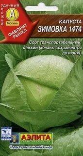 Капуста зимовка описание сорта и отзывы характеристика