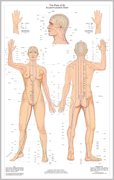 Меридианы человека китайская. Акупунктура меридианы китайская медицина. Меридианы китайская медицина человека схема. Акупунктура меридианы китайская медицина схема. Акупунктура меридианы тела человека схема.