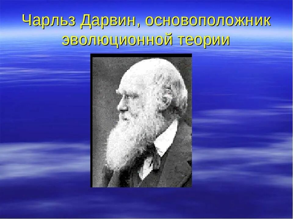 Гипотеза дарвина. Эволюционная теория Чарльза Дарвина. Дарвин и его теория эволюции.