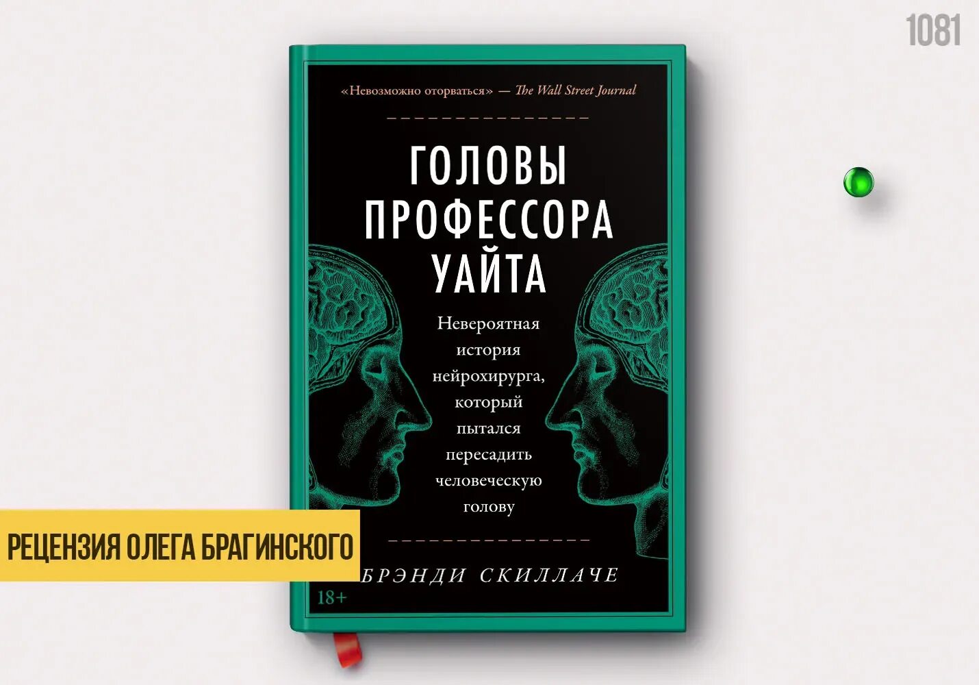 Книга на голове. Головы профессора Уайта. Мозг профессор. Книги в голове картинки. Голодный мозг