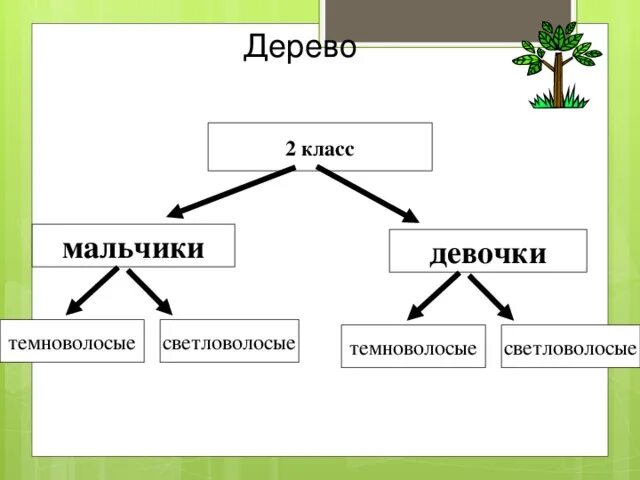 Дерево 5 класс информатика. Дерево Информатика. Дерево классов. Дерево Информатика 4 класс. Графы и деревья в информатике.