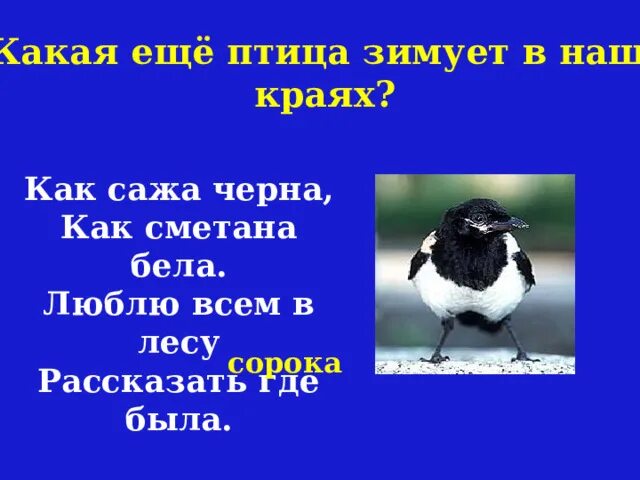Что обозначают цветы белого цвета. Белый цвет значение в психологии. Если человек любит белый цвет. Значение белого цвета в одежде. Бела что значит как.