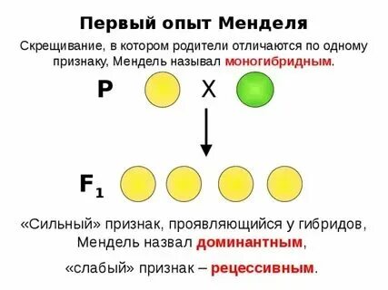 Признаки проявляющиеся в поколении называются