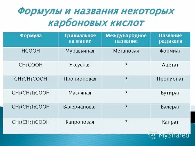 Класс международная названия