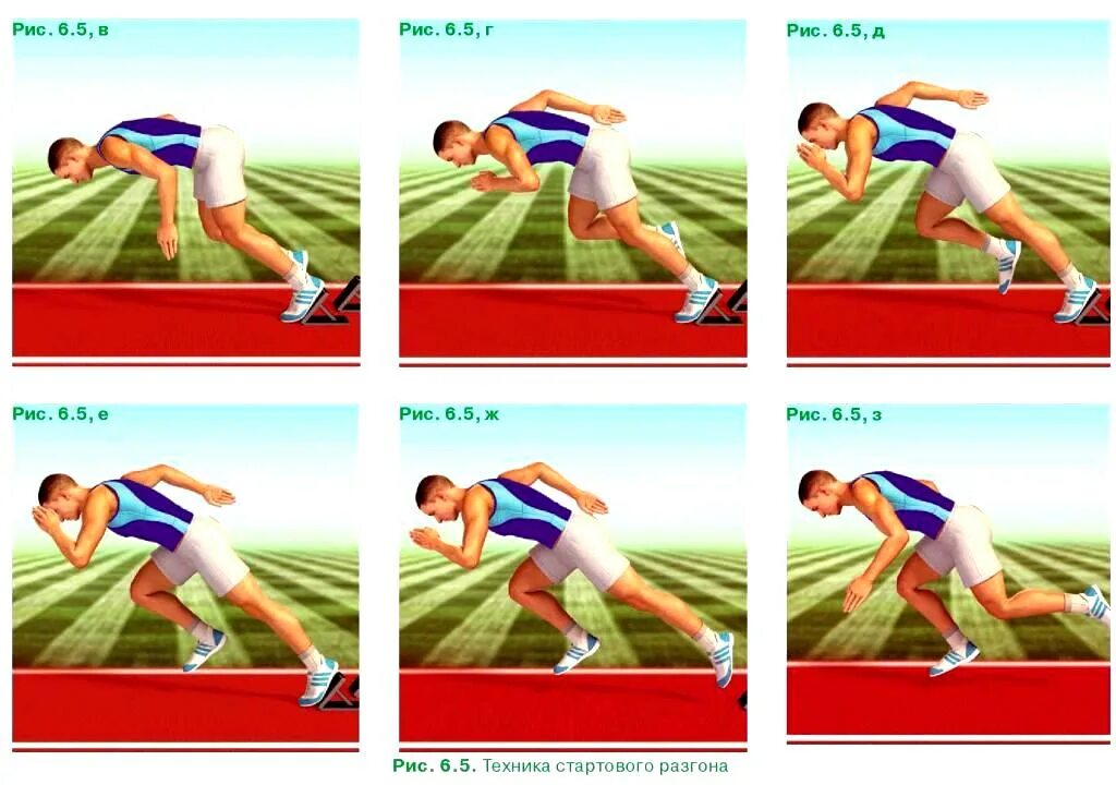 Старт и стартовый разгон. Старт и стартовый разгон в легкой атлетике. Стартовый разгон в беге на короткие дистанции. Техника стартового разгона.