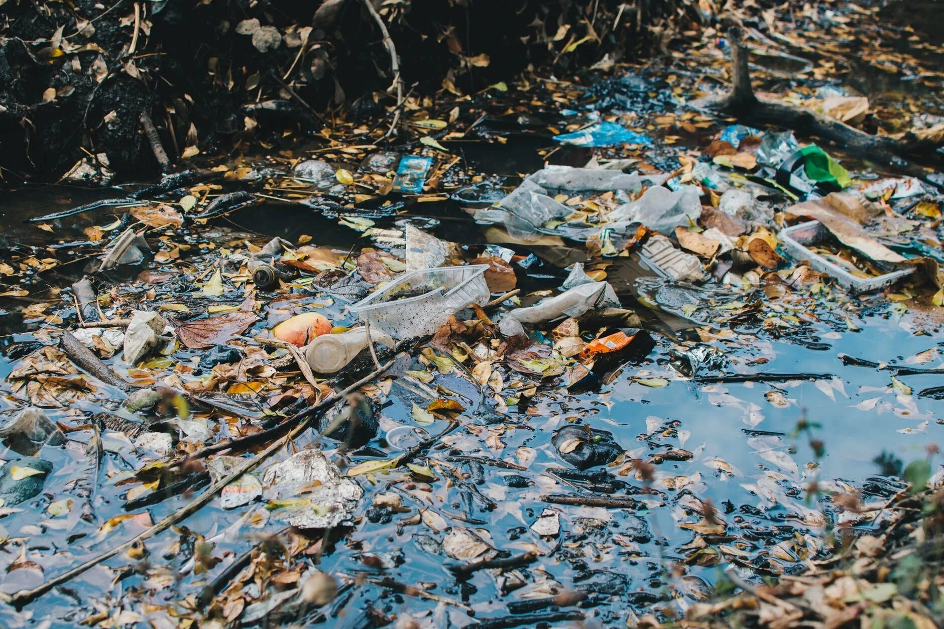 Bad pollution. Загрязнение воды. Загрязненные водоемы. Загрязнение окружающей среды. Экология загрязнение воды.