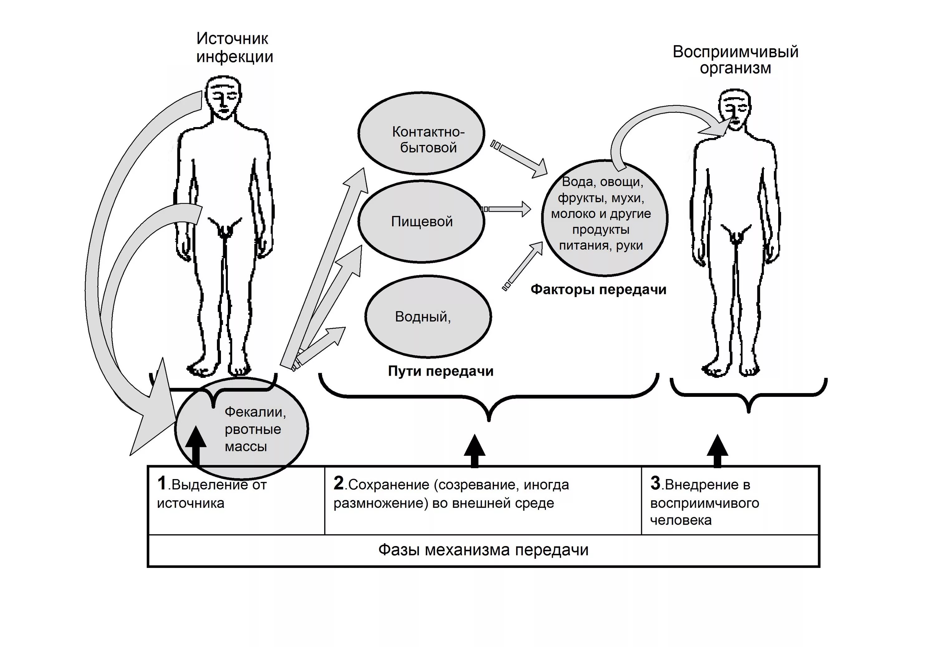 Процессы болезни человека. Механизм передачи возбудителя инфекции схема. Контактный механизм передачи инфекции схема. Эпидемический процесс факторы передачи. Фекально оральный механизм передачи возбудителя.
