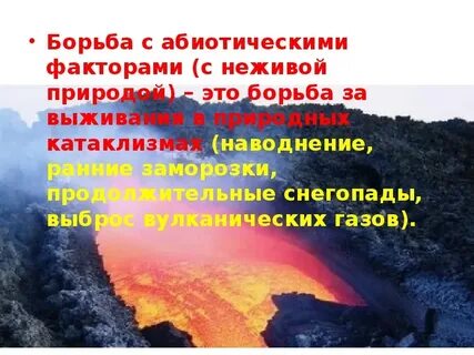 Борьба за существование фактор