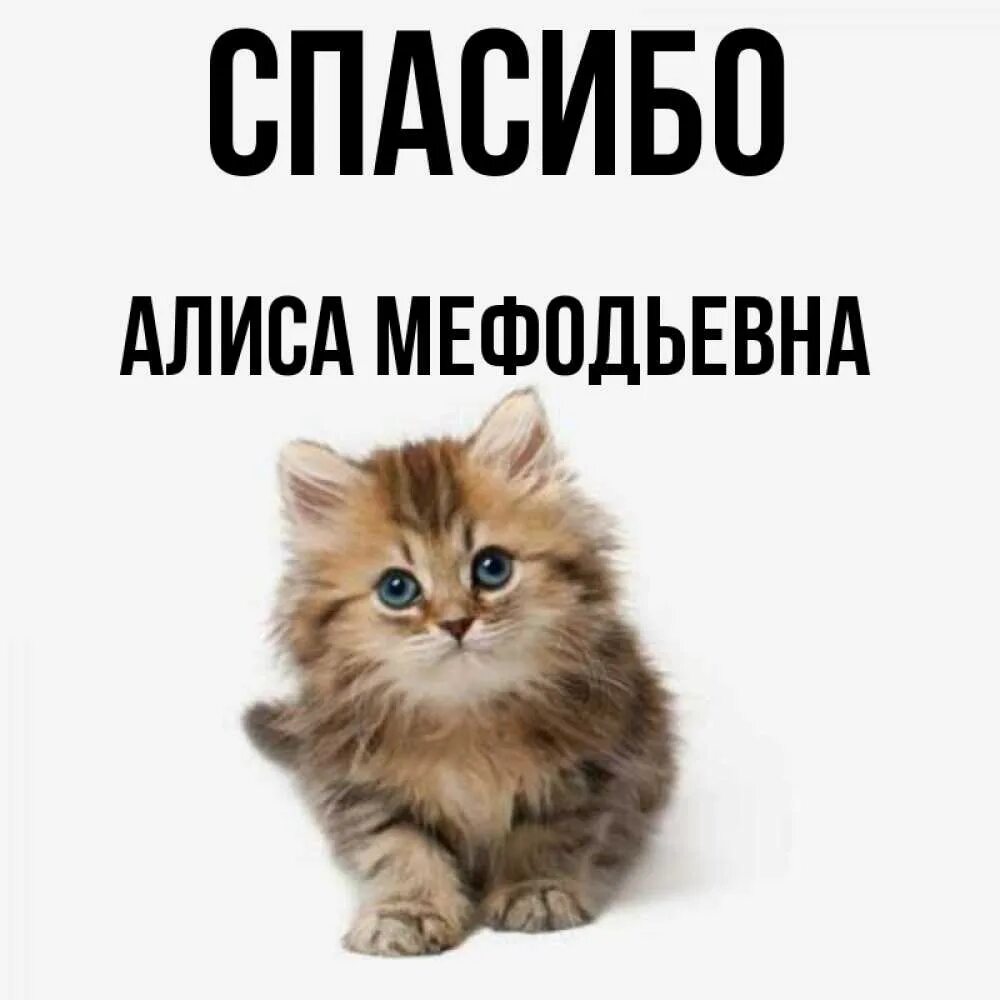 Благодарность алиса благодарность. Спасибо Алиса. Спасибо тебе Алиса. Пока Алиса. Пока Алиса пока.