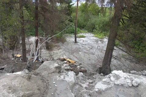 Леса заливаемые
