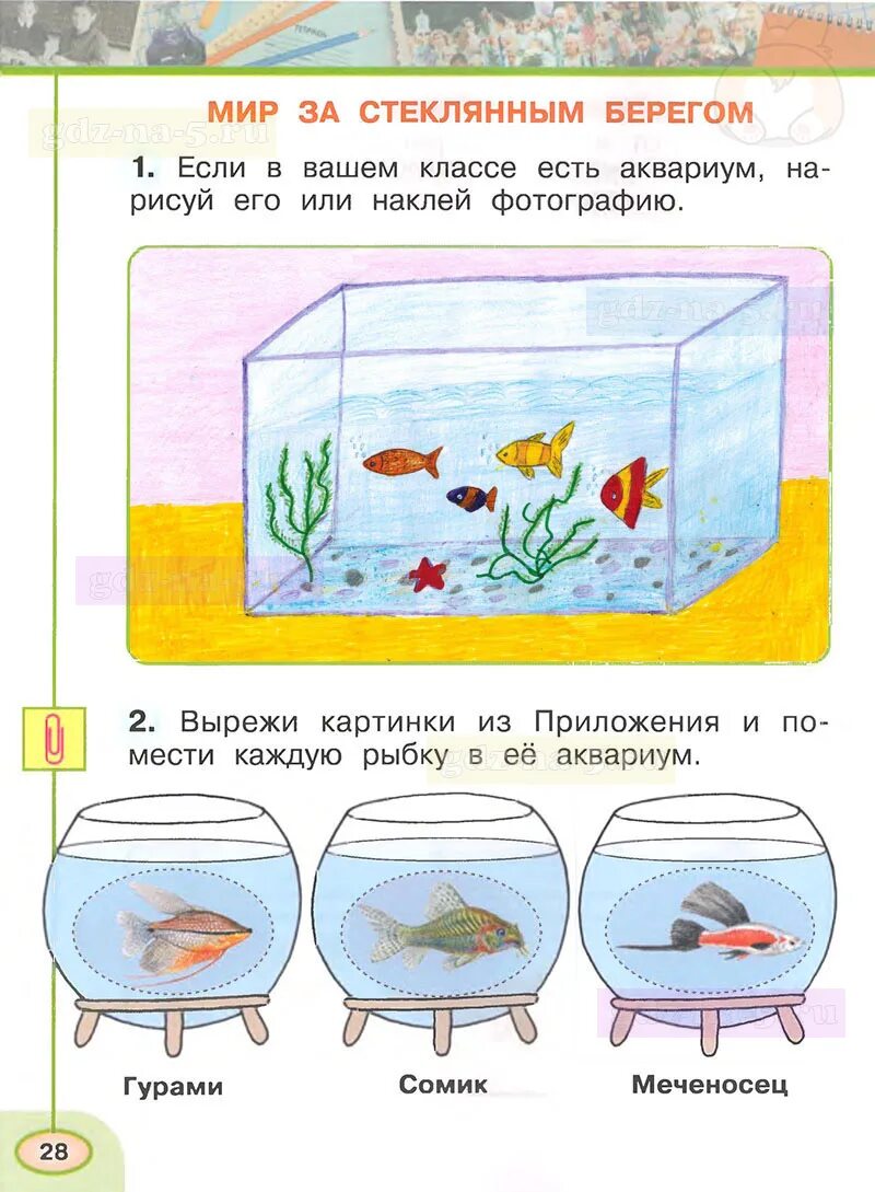 Окр мир рабочая тетрадь стр 9. Окружающий мир 1 класс рабочая тетрадь стр 28. Окружающий мир 1 класс рабочая тетрадь 1 часть Плешаков ответы стр 10. Окружающий мир рабочая тетрадь 1 класс стр 28 стр. 29. Окружающий мир 1 класс рабочая тетрадь 1 часть стр 28.