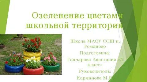 Для озеленения школы купили 102 цветка