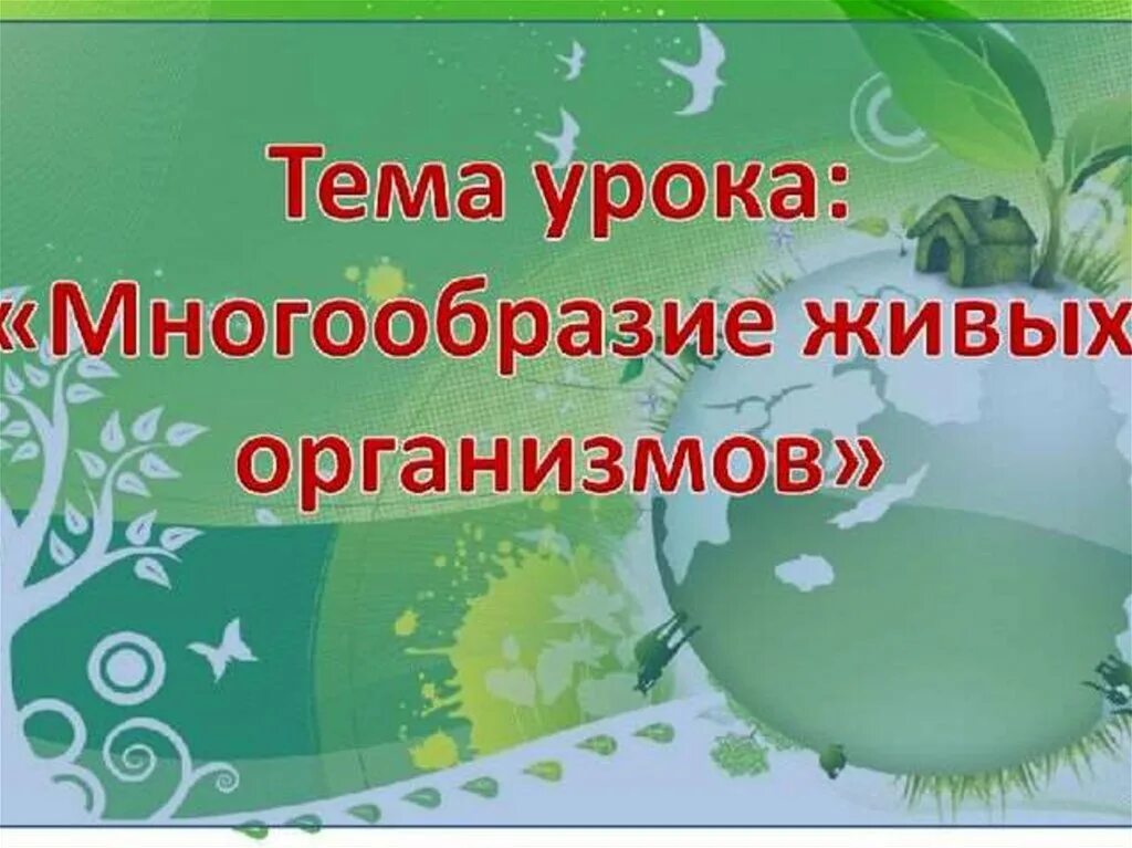 Многообразие живых организмов. Разнообразие организмов. Многообразие живых организмов презентация. Презентация на тему разнообразие живого. Живая планета 5 класс