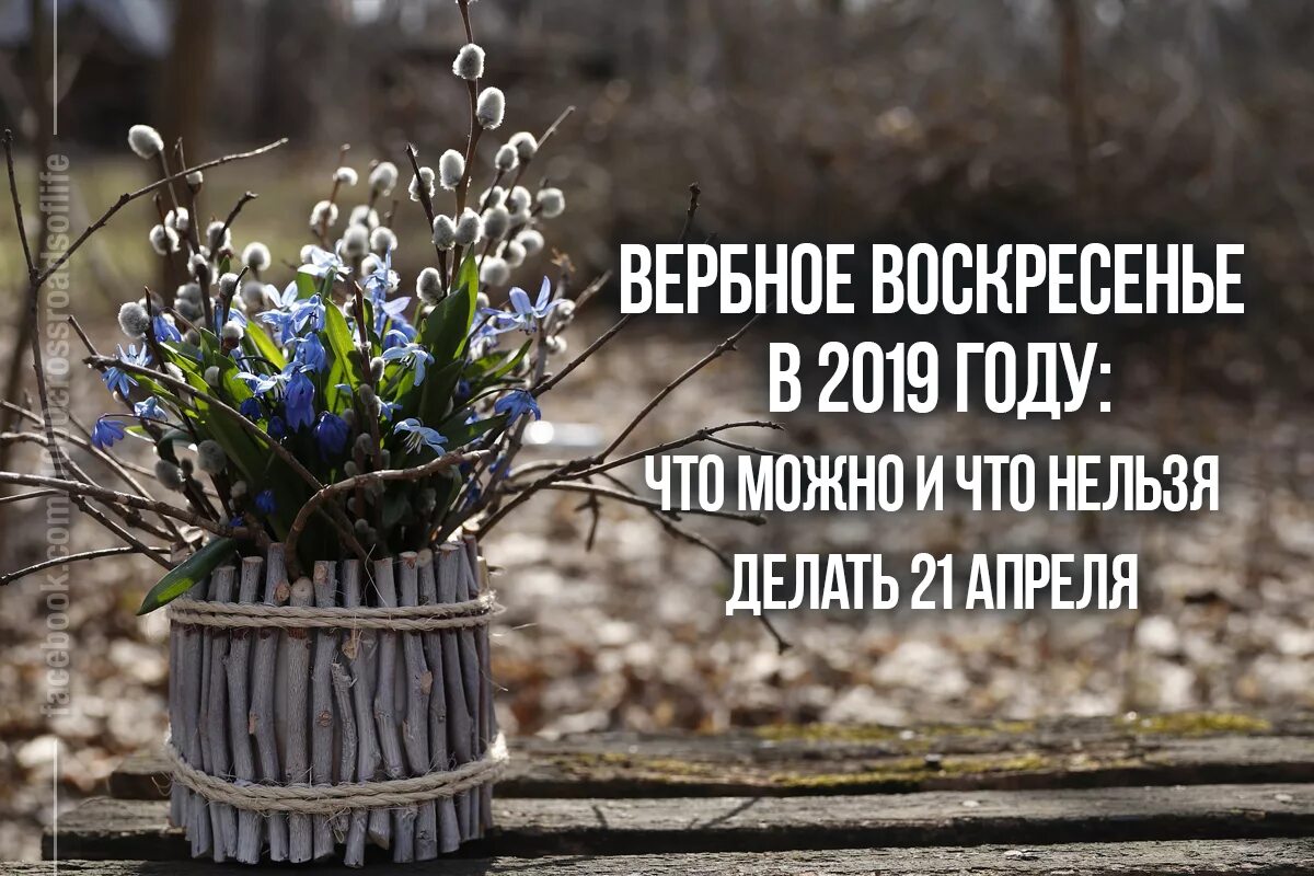 Что нельзя делать 1 ноября. Вербное воскресенье приметы. Вербное воскресенье что нельзя делать. Вербное воскресенье что можно делать. Что нрльзя делать в Вербное Восск.