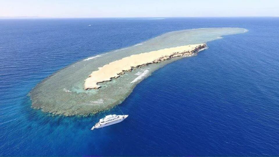 Мор томас "утопия". Первое издание томаса мора утопия. Славянский город фэнтези аркаим. Утопия томаса мора иллюстрации. Островом утопии.