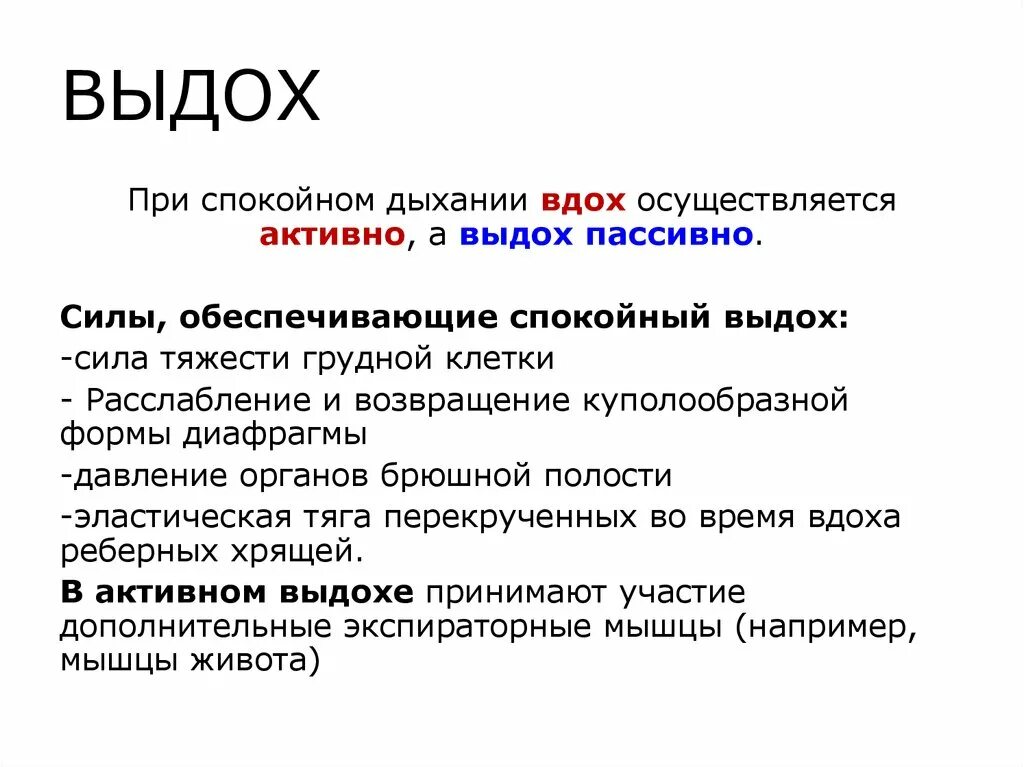 Что значит спокойный. Активный выдох. Спокойный выдох осуществляется. Пассивный выдох. В спокойном состоянии в дыхании участвуют.