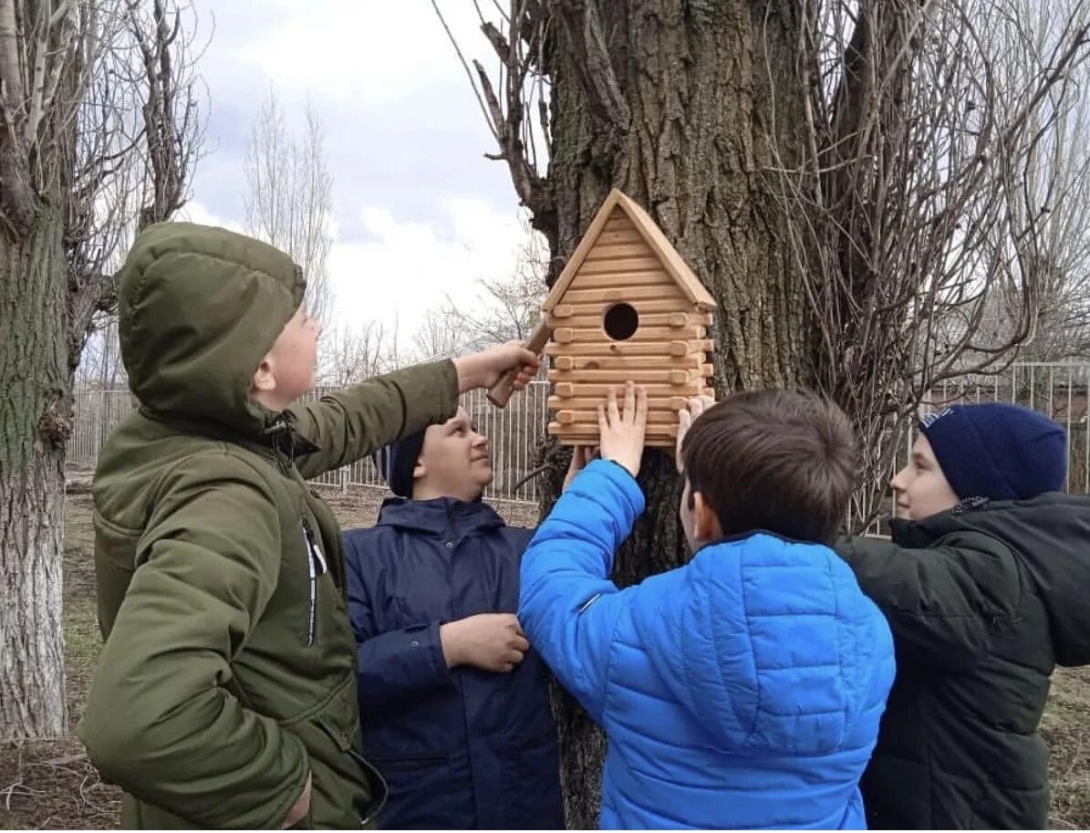 День птиц. Международный день птиц. Акция день птиц. Всероссийская акция день птиц. Мероприятие посвященное дню птиц