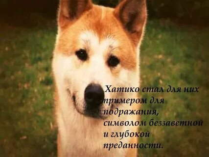 Верному am