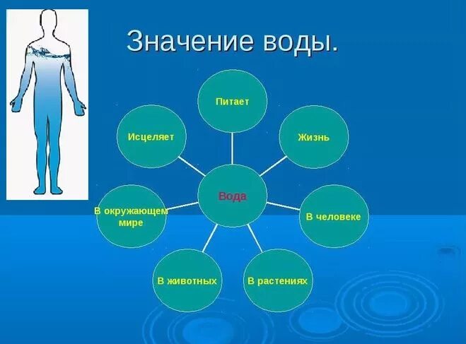 Человек и мир 3 класс. Роль воды в жизни человека схема. Вода в жизни человека схема. Роль воды в жизни человека рисунок. Значение воды в жизни человека 2 класс.