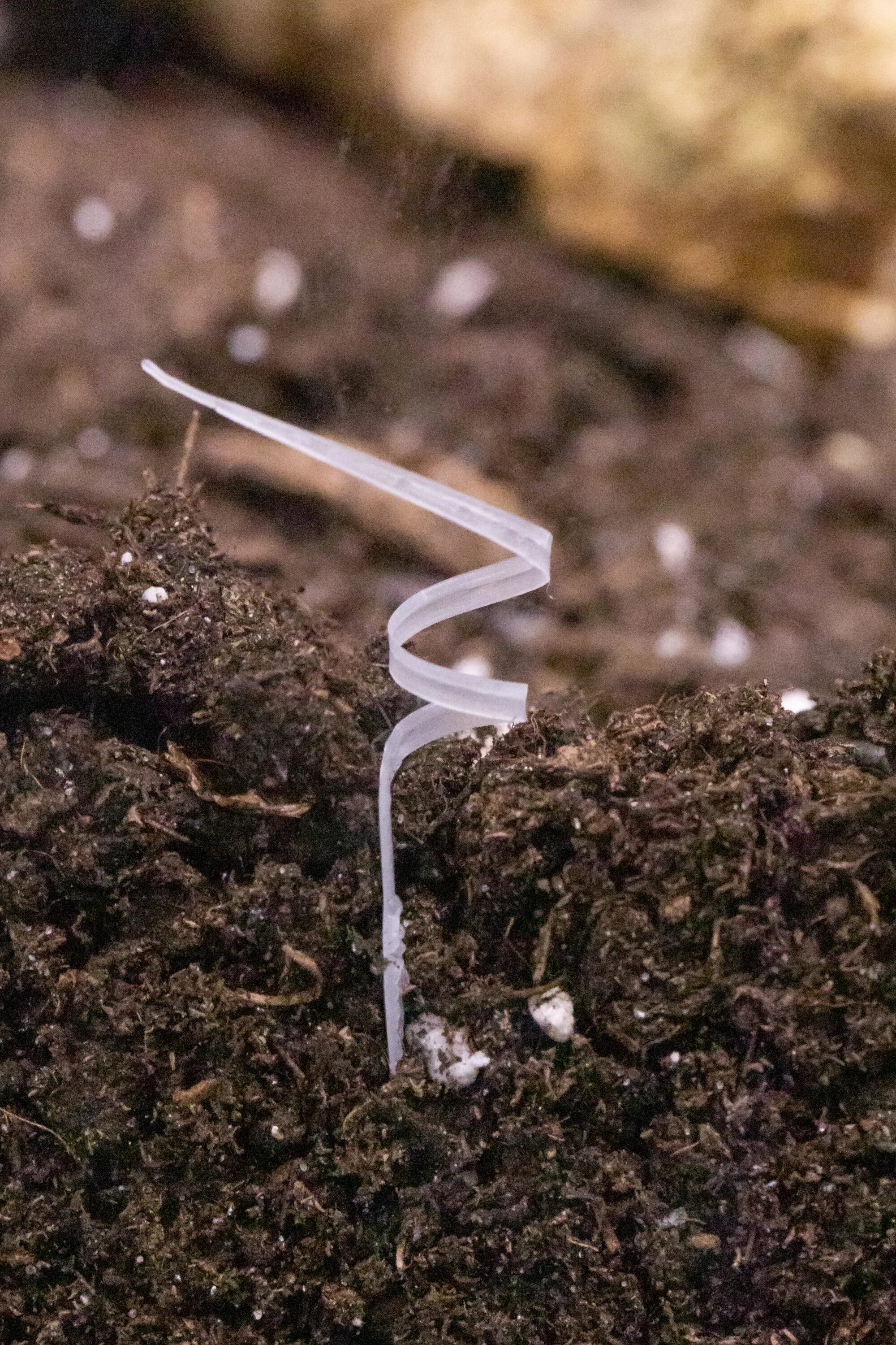 Seed bot