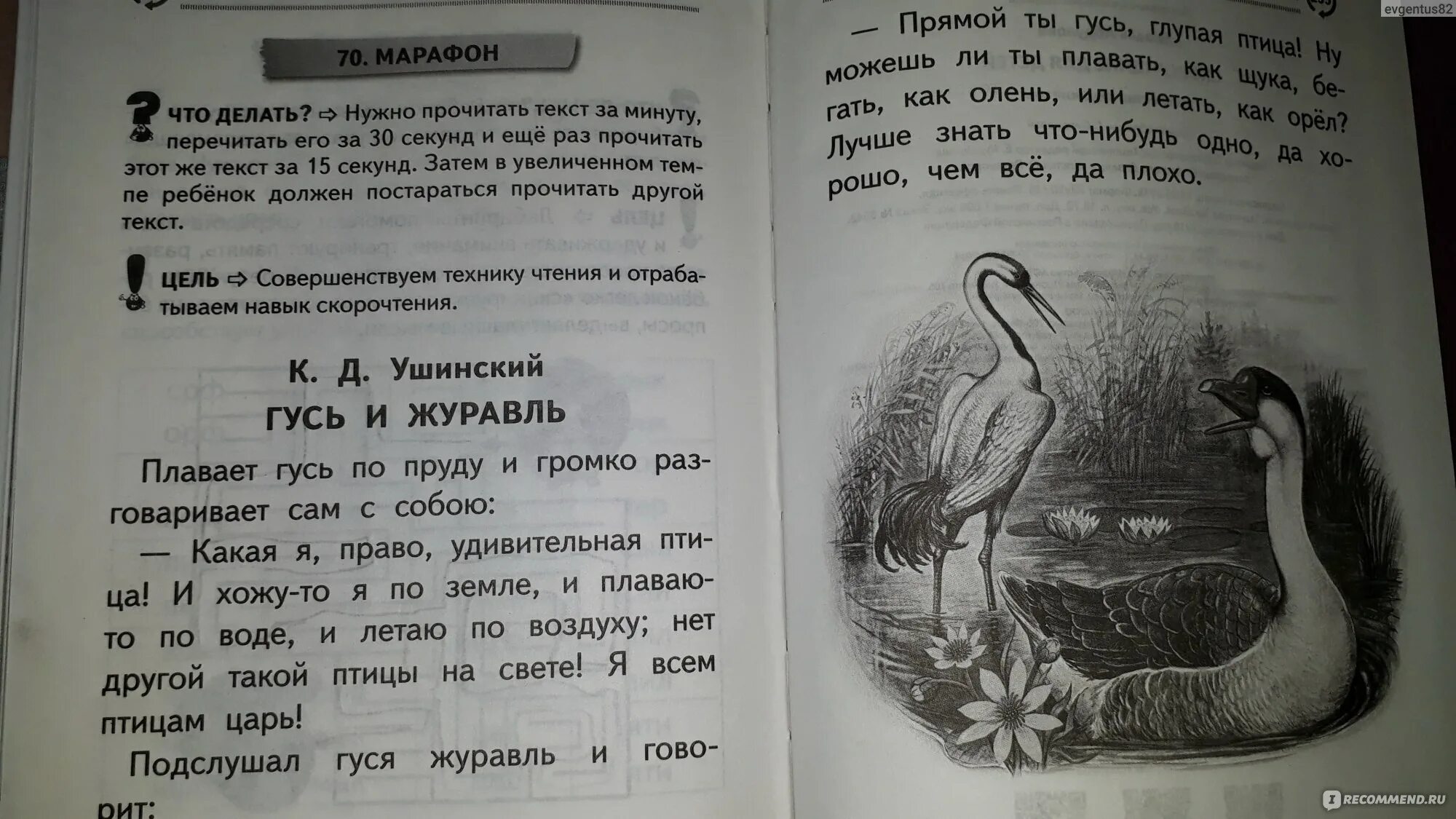 Басня гусь и журавль. К.д.ушинский гусь и журавль.