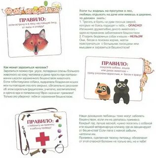 Делать прививку если укусила собака
