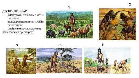 Ол көшеде біреуді жұлып алды (видео)