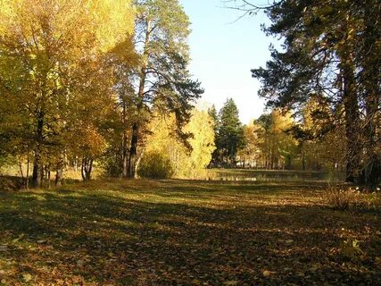 Выкса фото парка