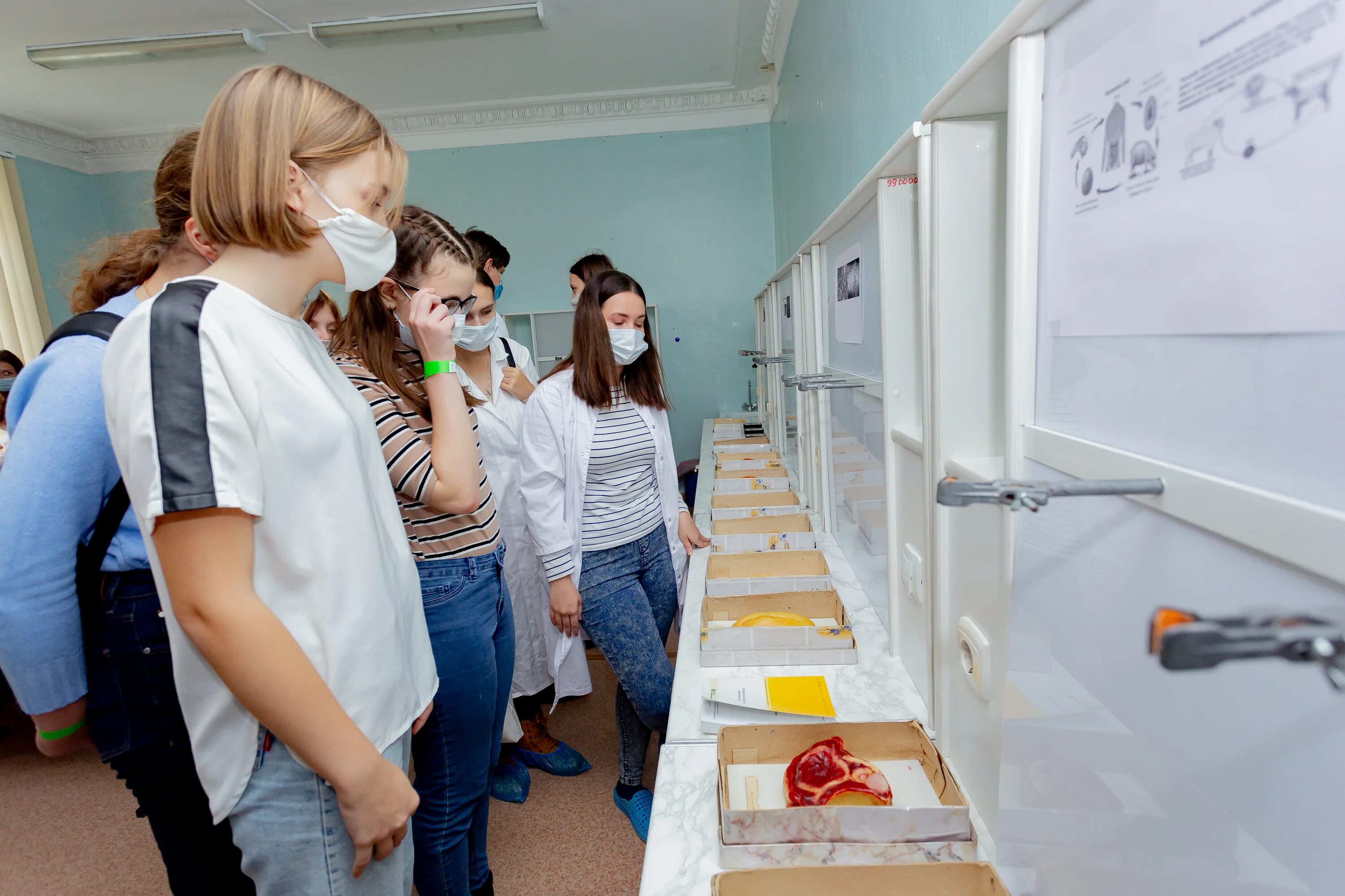 Профильные медицинские классы. Медицинские классы в московских школах. Студенты мединститута. Медицинский класс в московской школе. Учебный план медицинского класса.