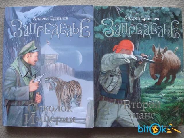 Запределье. Осколок империи. Книга осколок империи.