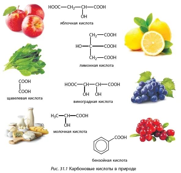 Какие вещества содержатся в соке формула. Органические кислоты строение. Применение карбоновых кислот схема. Формулы карбоновых кислот и органические соединения. Нахождение в природе карбоновых кислот химия.
