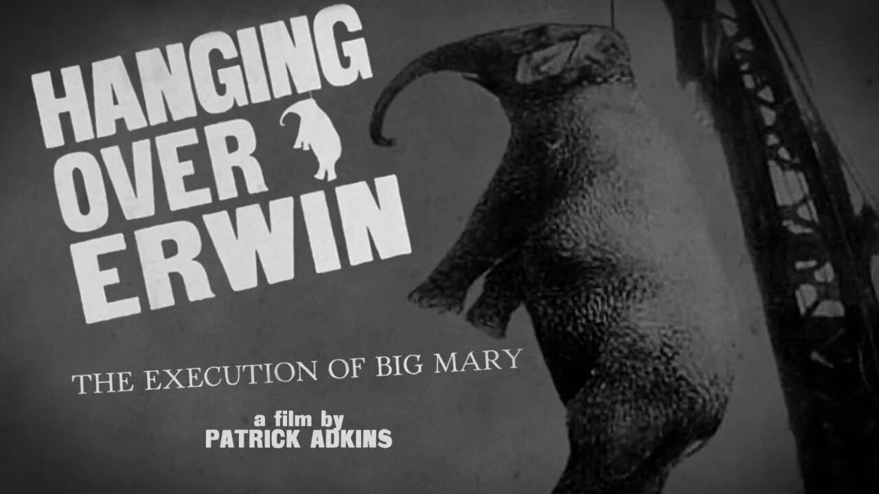 Mean mary википедия. Хасбулат ufc 4. Mary mary shackles. Ufc 4. Big mary.