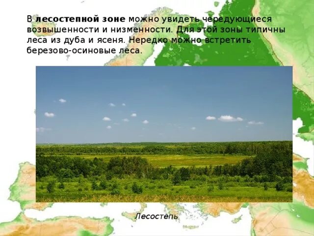 Лесостепи Восточно европейской равнины. Характеристика лесостепи. Возвышенности и низменности Восточно европейской равнины. Восточно европейской равнины лесостепь растения.