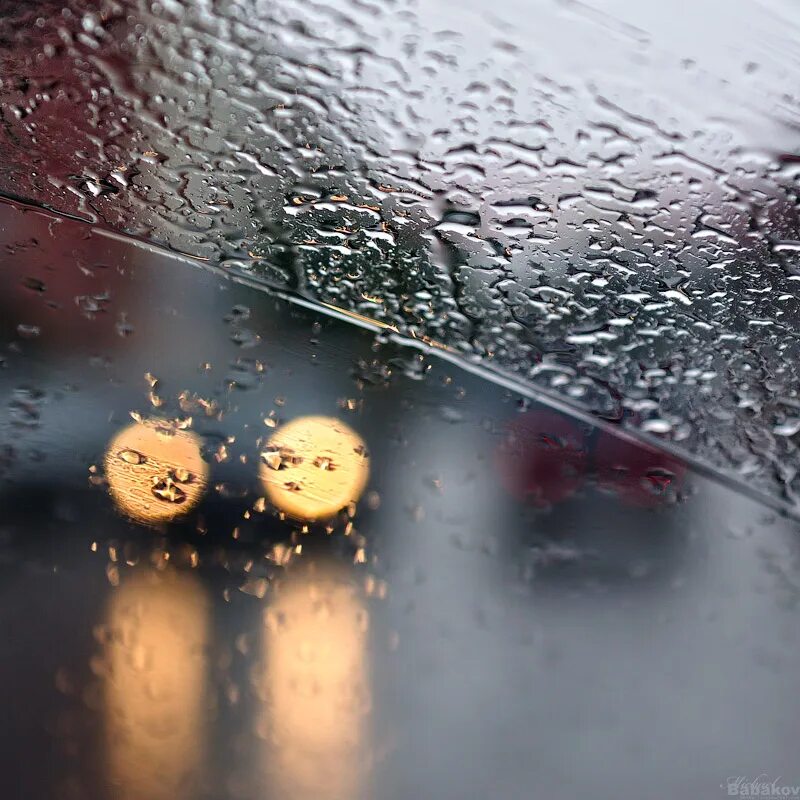 часы под дождем. умный прибор ретро. дождь пасмурно. часы на фоне природы. художник дождя джефф роуланд.