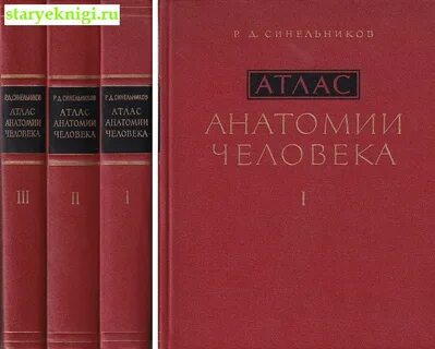 Атлас синельникова 3 тома