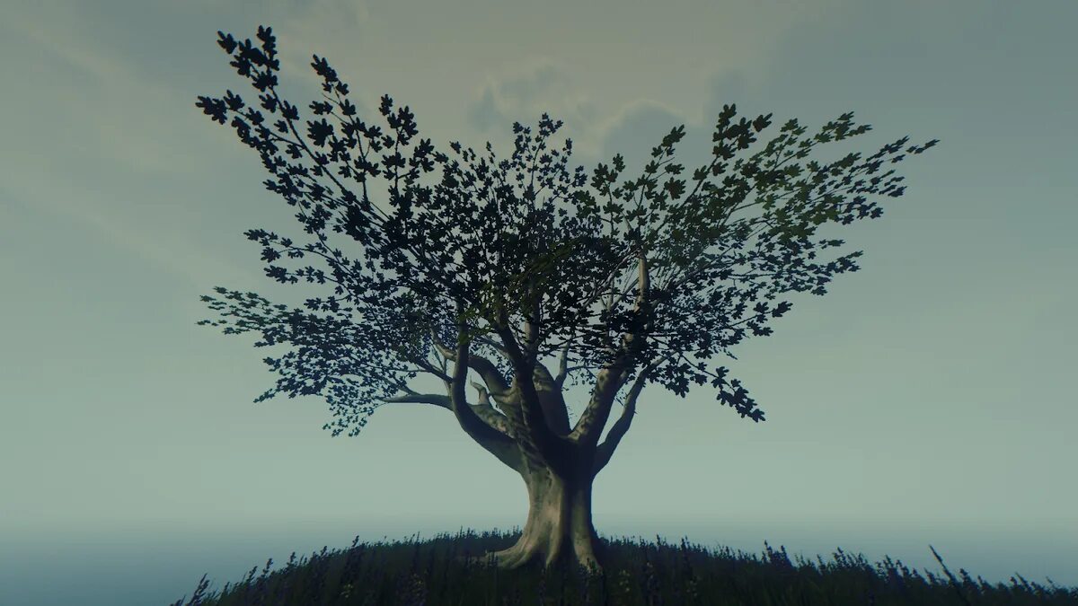 Растущее дерево видео. Аватар дерево. Аватар Священное дерево. Дерево из аватара. Аватар дерево жизни.