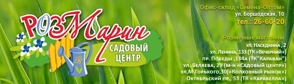 Садовый центр розмарин череповец. Розмарин череповец. тц розмарин череповец. садовый центр веста череповец. садовые магазины череповец.